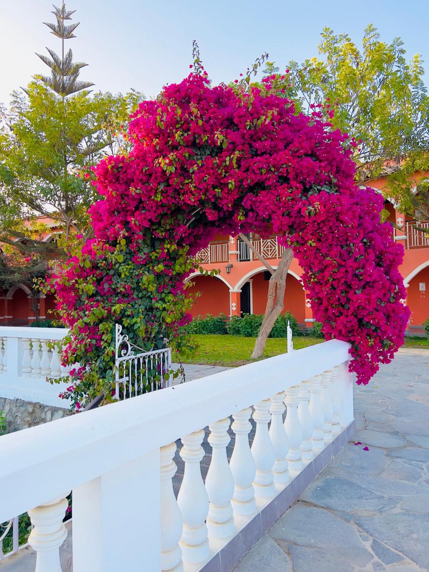 Hacienda San Juan Resort San Juan Bautista Exterior foto
